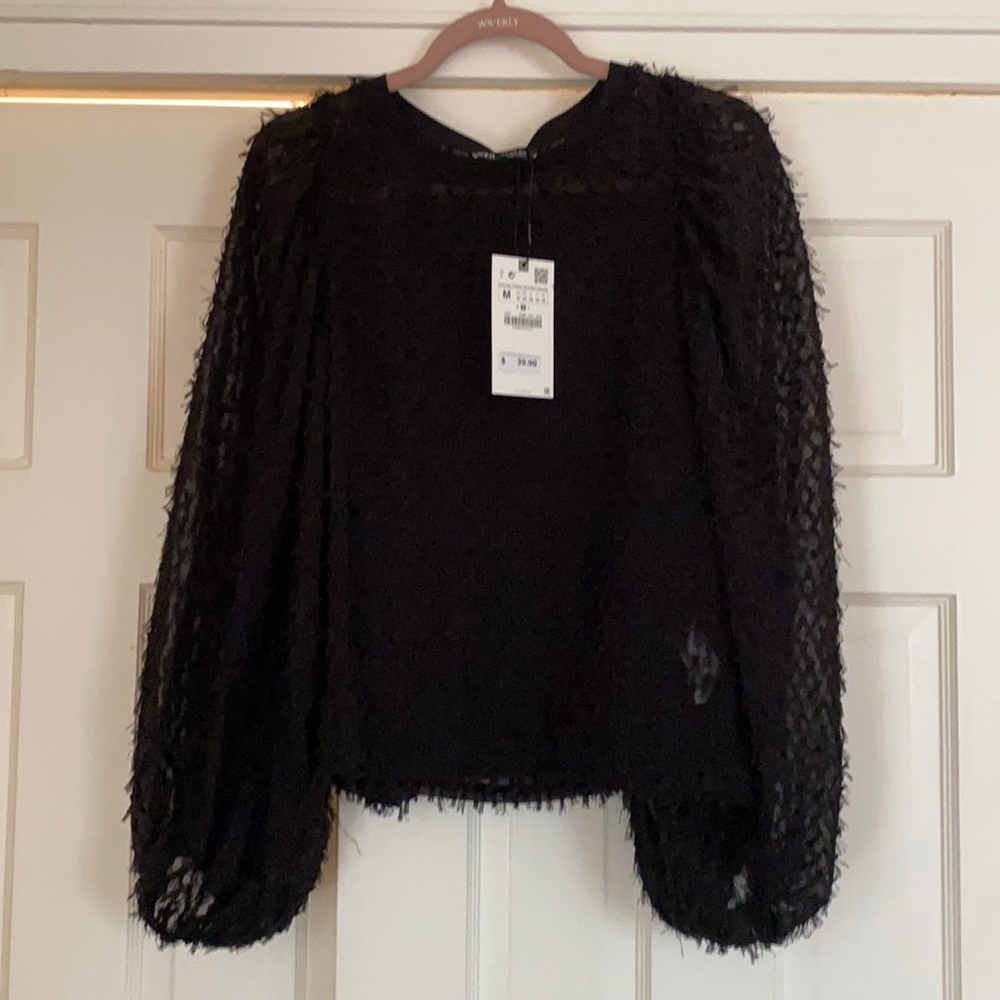 Zara see through top